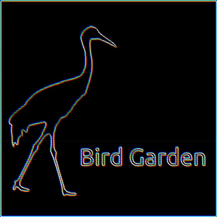 Bird Garden